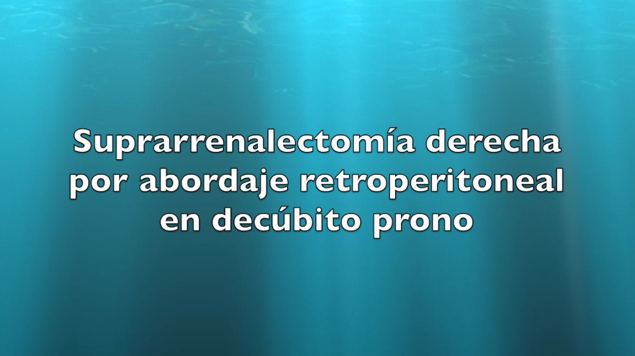 Videoforum