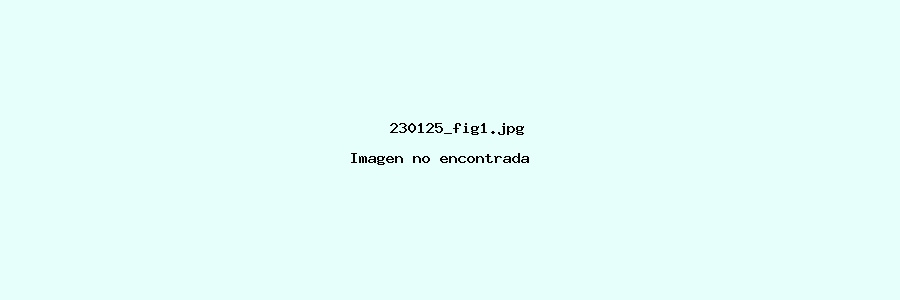 imagenes/imagenes/230125_fig1.jpg