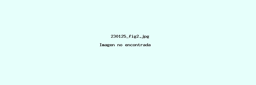 imagenes/imagenes/230125_fig2.jpg